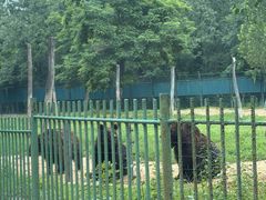 -秦皇岛野生动物园