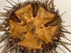 -海胆小馆(东北水饺·春柳店)