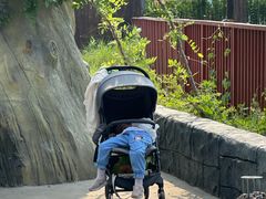 -济南方特东方神画