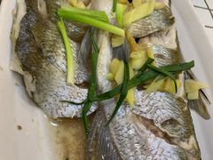 -观桥阁(锦溪店)