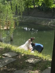 -爱儿美儿童摄影(朝阳公园店)