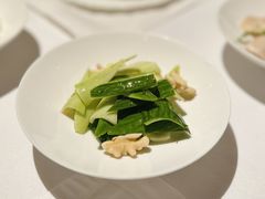 开胃脆瓜-西郊5号·Maggie 5