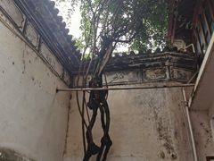 -喜洲翰林餐厅(董家百年老宅店)