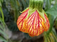 -南通洲际绿博园