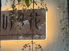 -溪岸路花鸟市场