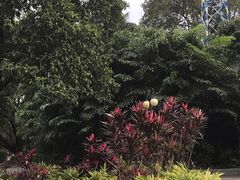 -晓港公园