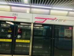 -大龙山(地铁站)