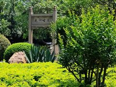 -晓港公园