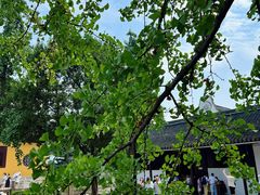 -西园戒幢律寺