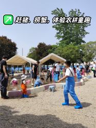 -上美四季动物农场