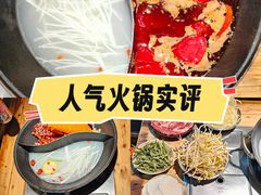 -阳阳老火锅(小南门店)