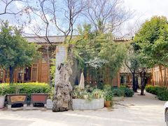 -山大王菌莊