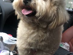 -致善宠物医院(体育路店)