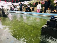 -光头佬钓虾场·烧烤·聚餐·亲子(金沙洲店)