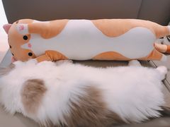 -猫腻·猫咖·撸猫馆(星光大道店)