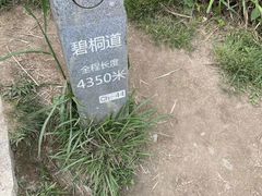 -梧桐山风景名胜区