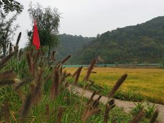 -南泥湾风景区