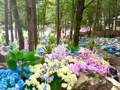 -洛阳白云山景区