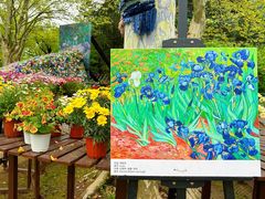 -上海共青森林公园