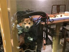 -澣花 四川火锅(新宿本店)