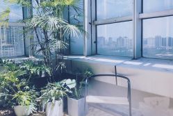 -无界瑜伽普拉提