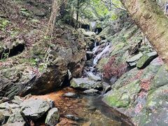 -梧桐山风景名胜区