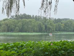 -WhaleSports户外水上运动俱乐部(朝阳公园店)