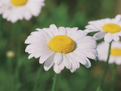 -四里河滨水生态公园