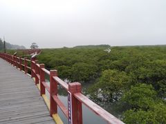 -北海金海湾红树林生态旅游区