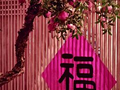 -叶叶菩提(太原别墅店)