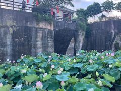 -广州莲花山旅游区