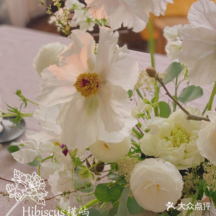 单瓣牡丹开花啦～