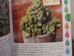 -五峰书院(南洋泾路店)