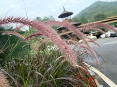 -古龙峡云天玻霸