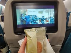 -河内内排国际机场