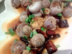 辣炒海螺-华盛丰温州大排档(东三环南路店)