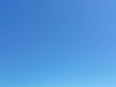 -小麦岛公园