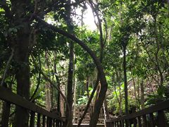 -七仙岭温泉国家森林公园