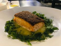 牛肝菌裹烤三文鱼-Mercato莫卡多露台餐厅与酒吧(K11店)