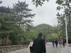 -潭柘寺景区