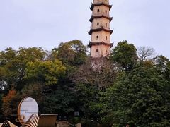 -江心屿景区