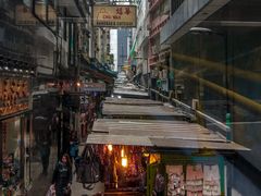 -Big Bus Tours 敞篷观光巴士