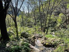 -大岭沟猕猴桃谷风景区