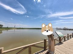 -哈素海