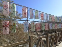 -燕郊植物园