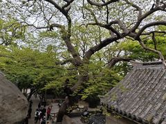 -崂山巨峰游览区