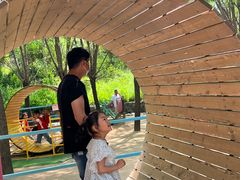 -西部长青自然儿童乐园