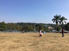 -东莞植物园