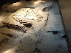 -侵华日军南京大屠杀遇难同胞纪念馆