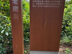 -滴水岩森林公园